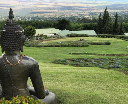Ways to Relieve Holiday Stress at Alii Kula Lavender Farm