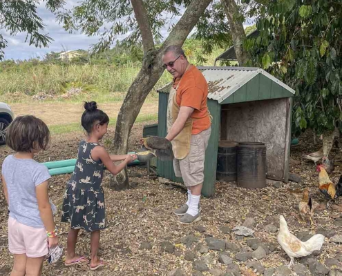 Feeding Chickens at Kona Natural Soap Company